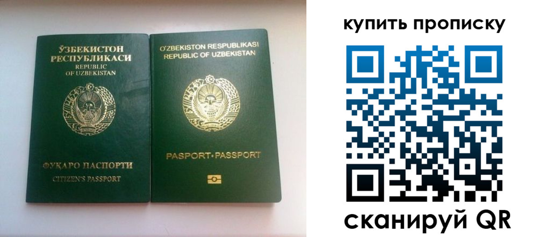 временная прописка в Пересвете